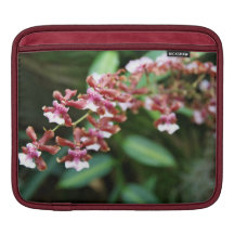Sharry Baby iPad Sleeve (or for macbook air)