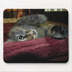 Shast Reveal mousepad