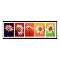 Shasta Daisies Bookmarks business cards by jaisjewels Shasta Daisies Bookmarks business cards