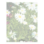 Shasta Daisies Letterhead