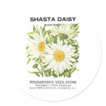 Shasta Daisy, Giant White, Roudabush's Seed Store stickers by vintagegiftmall Shasta Daisy, Giant White, Roudabush's Seed Store stickers