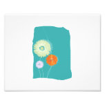 Shasta daisy graphics on blue background.png photographic print