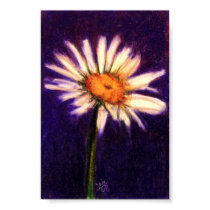 Shasta Daisy I Print