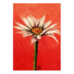 Shasta Daisy III ACEO Art Trading Cards Business Card