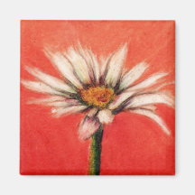 Shasta Daisy III Magnet