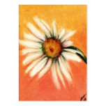 Shasta Daisy IV ACEO Art Trading Cards Business Card