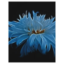 Shasta daisy love and meaning flyer