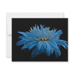 Shasta daisy love and meaning personalized invitation