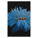 Shasta daisy love and meaning stationery paper