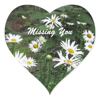 Shasta Daisy: Missing You Sticker sticker