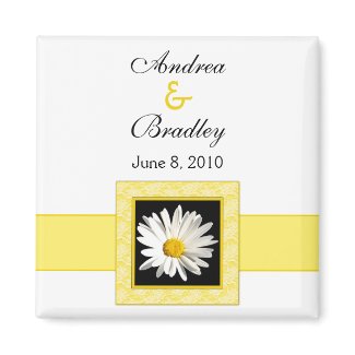 Shasta Daisy 