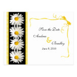 Shasta Daisy Save the Date Postcard