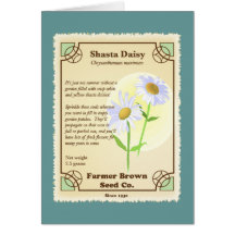 Shasta Daisy Seed Packet Greeting Cards