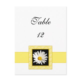 Shasta Daisy Table Number Postcard postcard