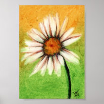Shasta Daisy V Print