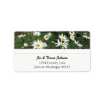 Shasta Diasies Address Labels