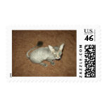 Shaved Pussy Postage Stamp