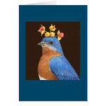 Shawn the bluebird card
