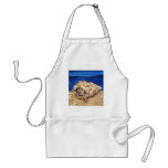 She Hermits aprons