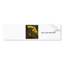 She Loves Me NOT! bumper stickers