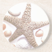 She Sells Sea Shells Coaster