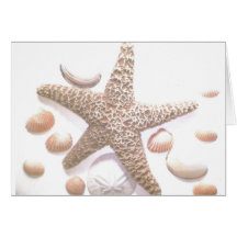 She sells sea shells greeting card