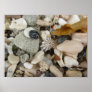 She Sells Sea Shells Posters