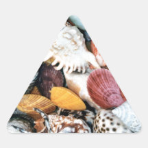 She Sells Sea Shells Stickers