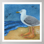 She Sells Seashells Poster