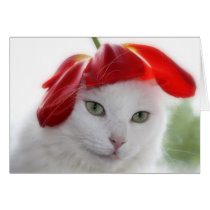 She Wore a Hat Shaped Like a Tulip cards