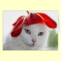 She Wore a Hat Shaped Like a Tulip cards