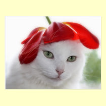 She Wore a Hat Shaped Like a Tulip postcards