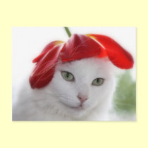 She Wore a Hat Shaped Like a Tulip postcards by JCatGarden She Wore a Hat Shaped Like a Tulip postcards