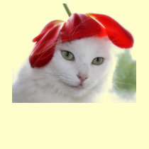 She Wore a Hat Shaped Like a Tulip t-shirts by JCatGarden She Wore a Hat Shaped Like a Tulip t-shirts