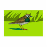 Sheeda Sparrow Photo Cut Out