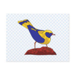 Sheema Sparrow Postcards