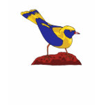Sheema Sparrow Tshirt