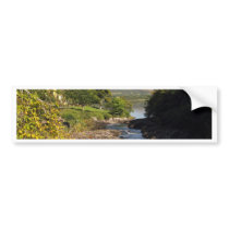 Sheen Falls Bumper Sticker