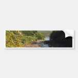 Sheen Falls Bumper Sticker