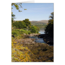 Sheen Falls Greeting Cards