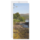 Sheen Falls Rack Card Design