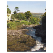 Sheen River Custom Flyer
