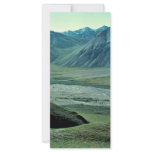 Sheenjek River Valley with dall sheep Rack Card Design