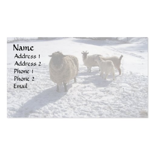 Sheep and Goats in April Snow Business Cards (front side)