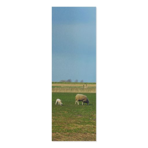 Sheep and Lamb Landscape Photo Bookmark Gift Business Card (front side)
