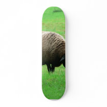 Sheep And Sheep Dog Skate Deck