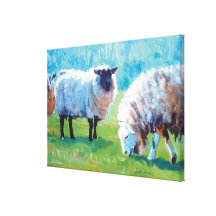 Sheep Art Stretched Canvas Prints