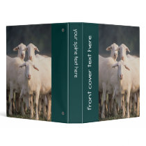 Sheep Binder by GPArkive Sheep Binder