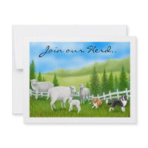 Sheep & Border Collies invitations