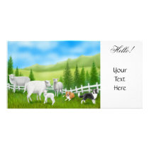 Sheep & Border Collies Photo Card photo cards by twopurringcats Sheep & Border Collies Photo Card photo cards